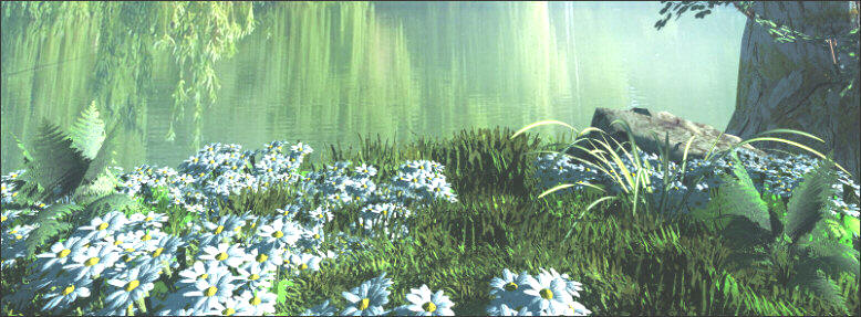 lynne's blue daisies